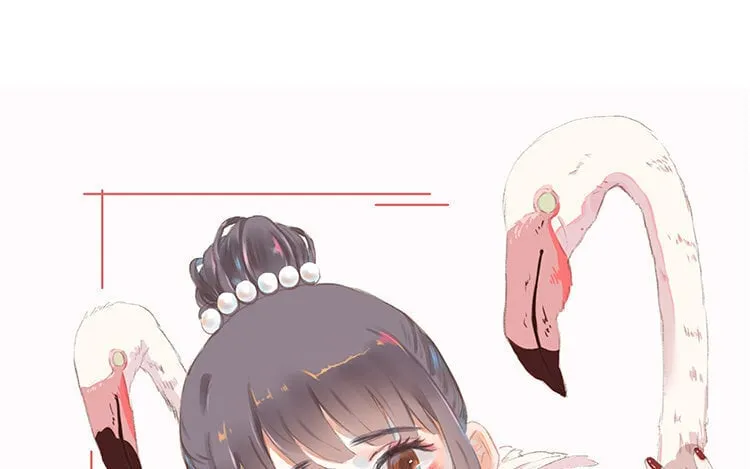 1 新作预告 第34页