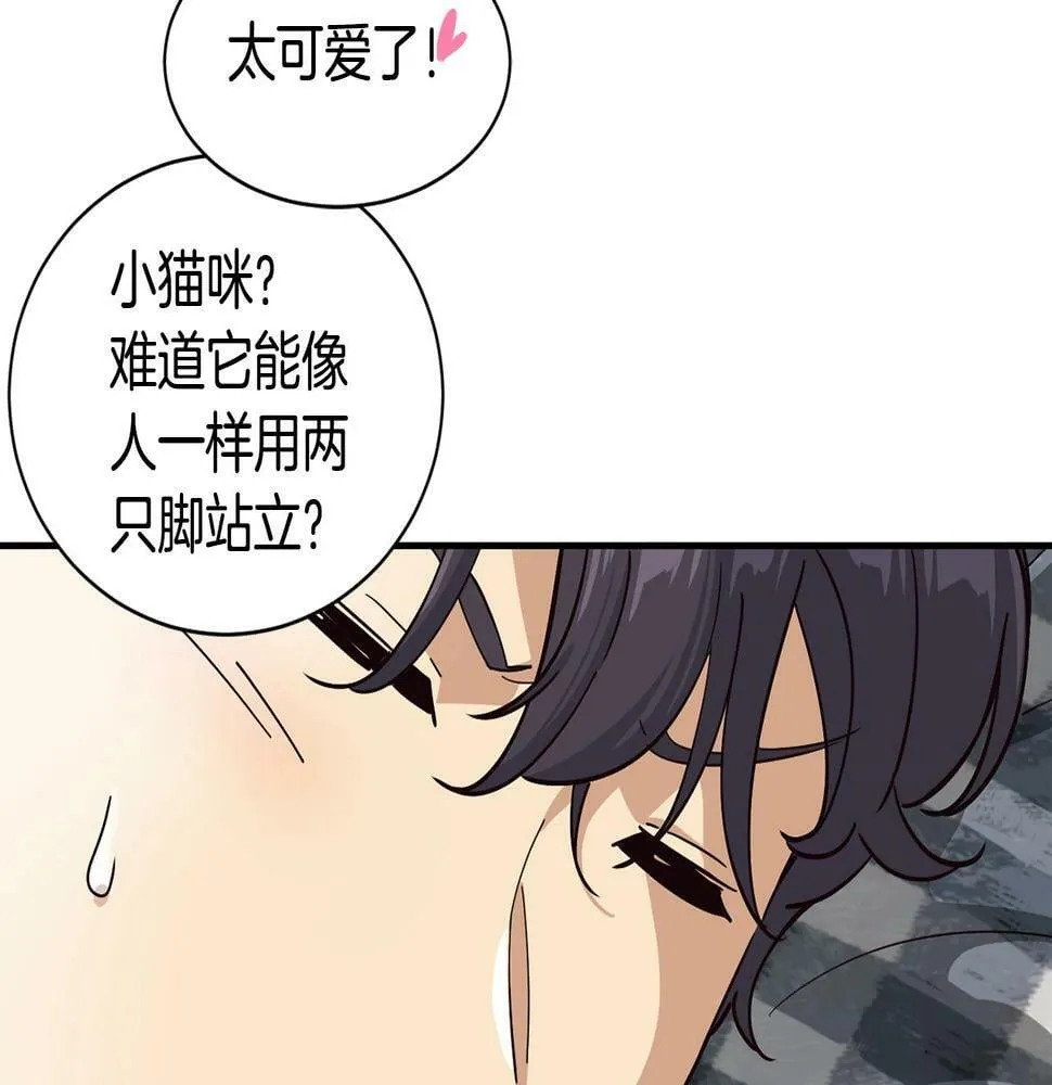 第13话 参加比赛！ 第19页