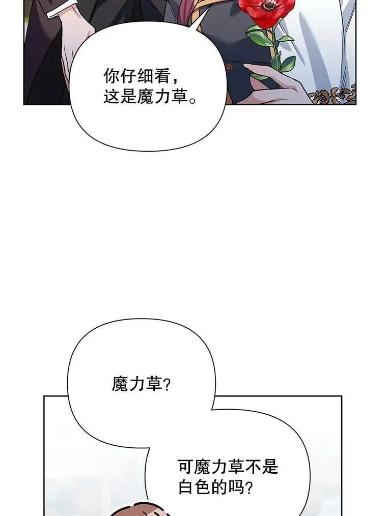 36.视察领地 第79页
