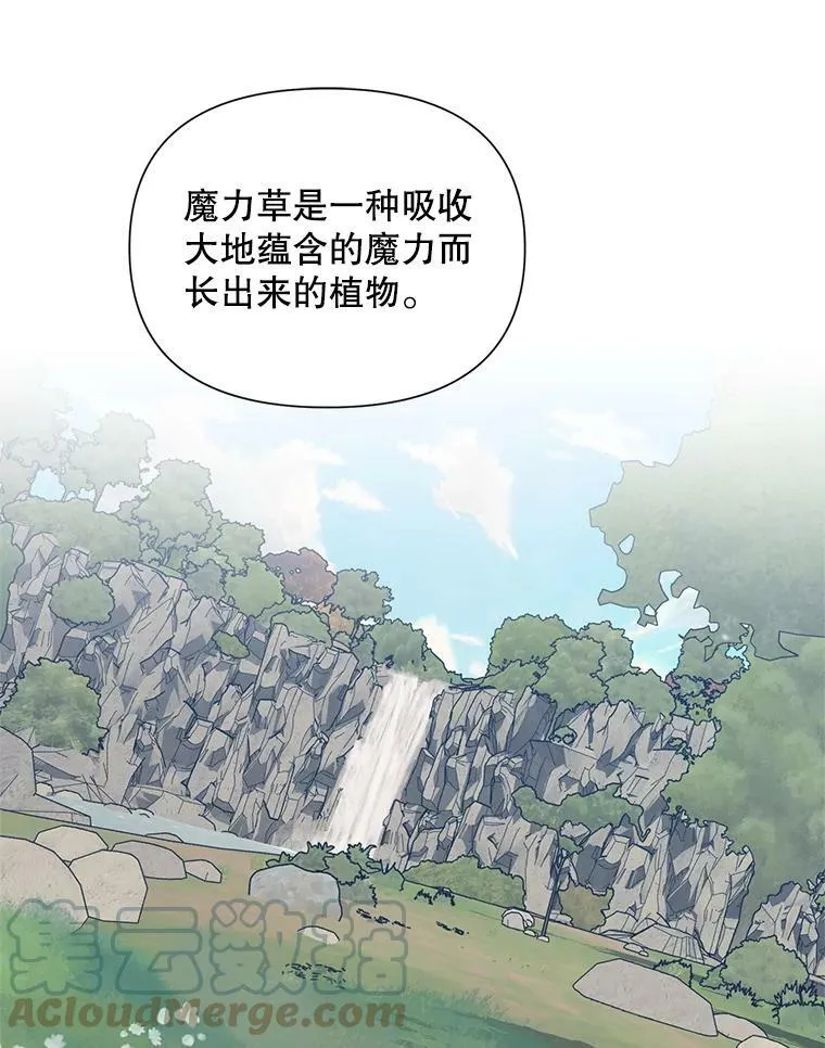 36.视察领地 第81页