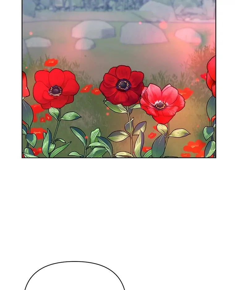 37.魔力草 第11页