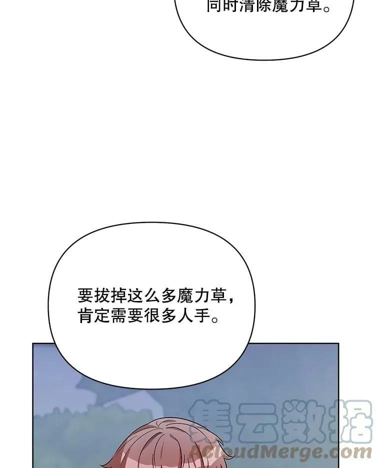 37.魔力草 第13页