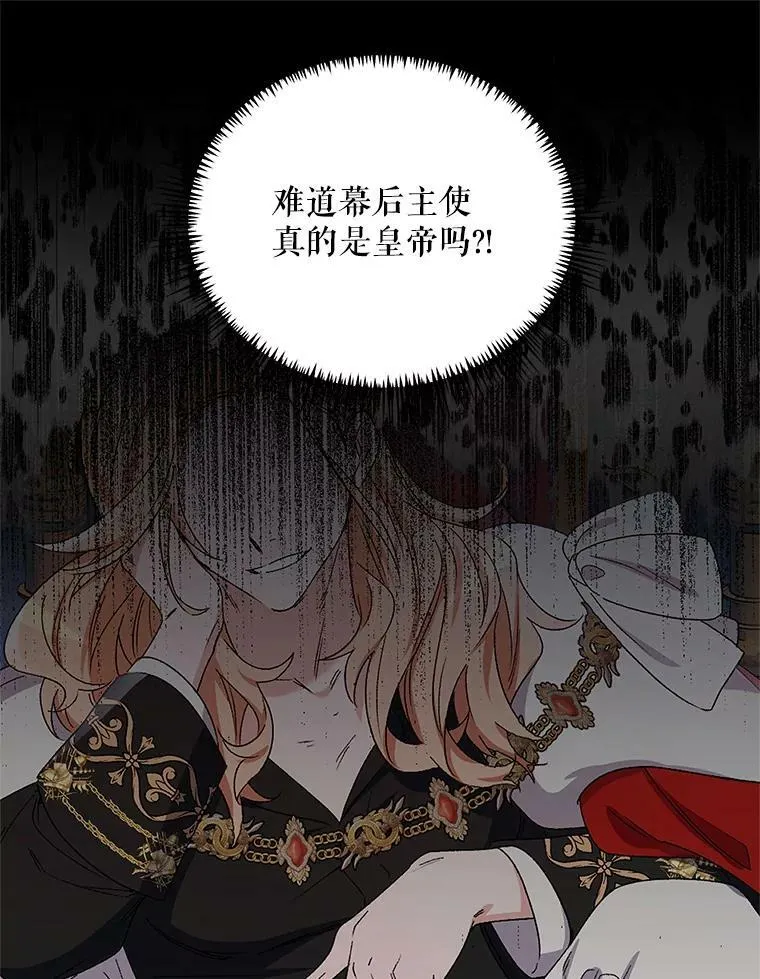 47.皇帝的计划 第34页