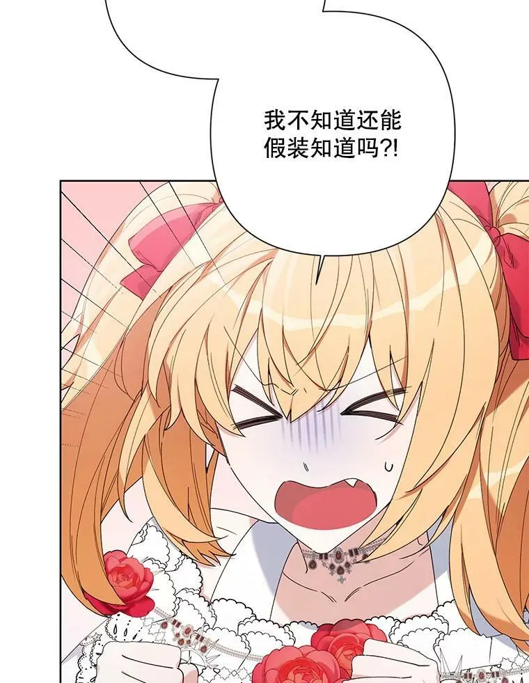 58.寻找作者 第11页
