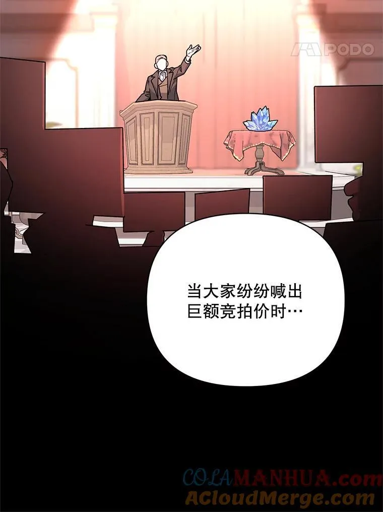 68.拍卖 第25页