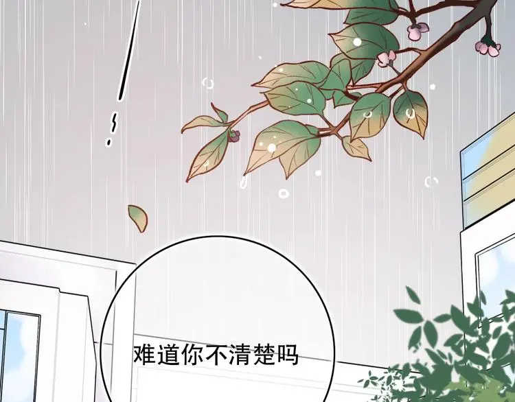 第38话 你是我飘过心底的风 第5页