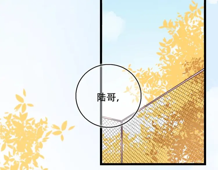 番外 陆映澈的不可说 第6页
