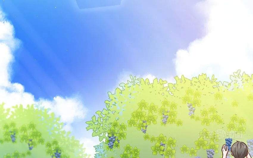 44 第42话 重伤退赛？！ 第34页