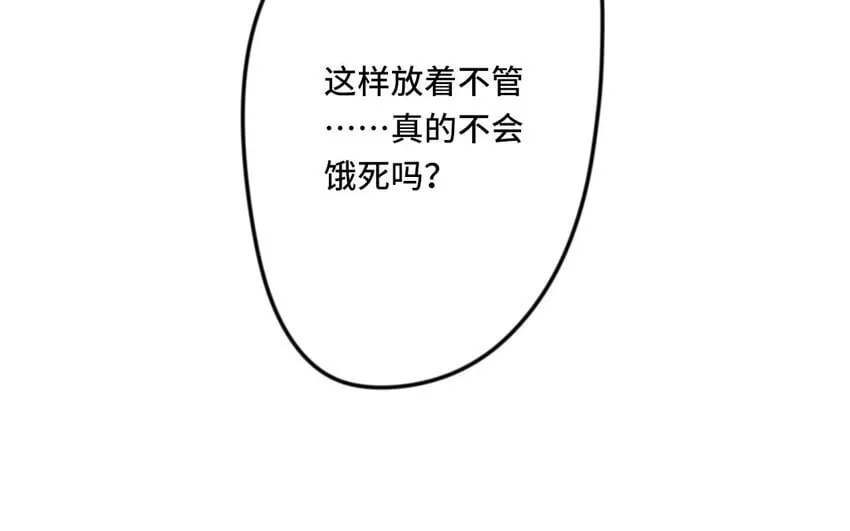 6 第5话 专业的貔貅 第48页