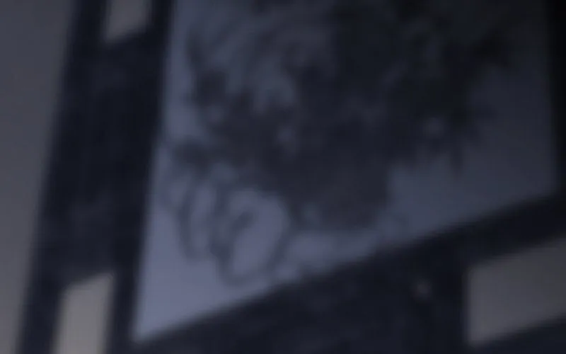 4 第3话 合作选我，我最好 第217页