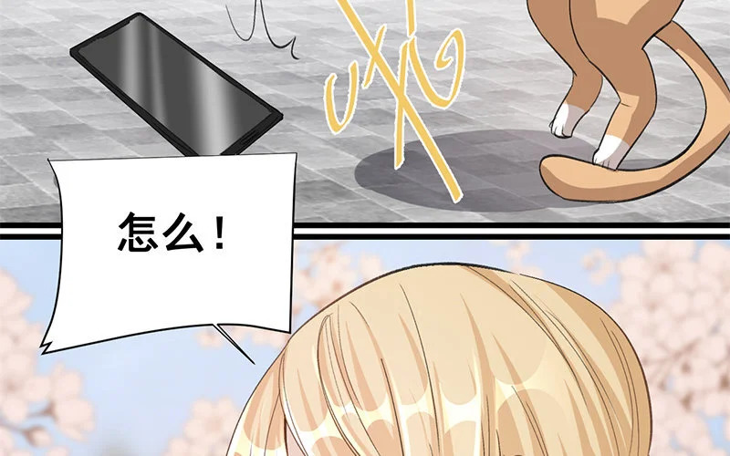 12 第11话 秦阳的难处 第35页