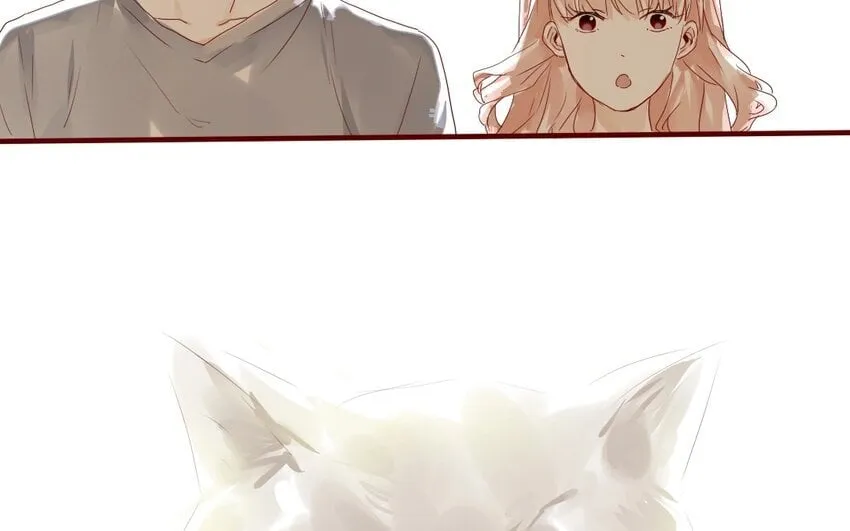 12 第11话 坚定立场 第11页