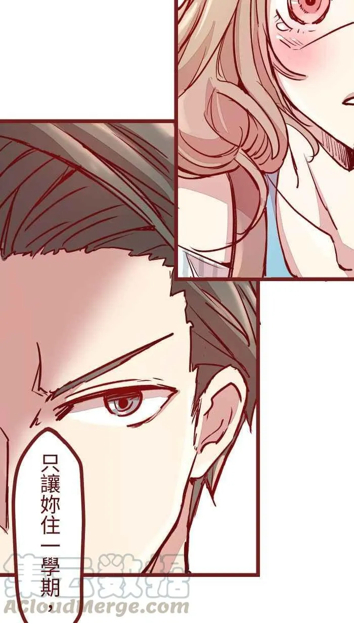 03 合租 第49页