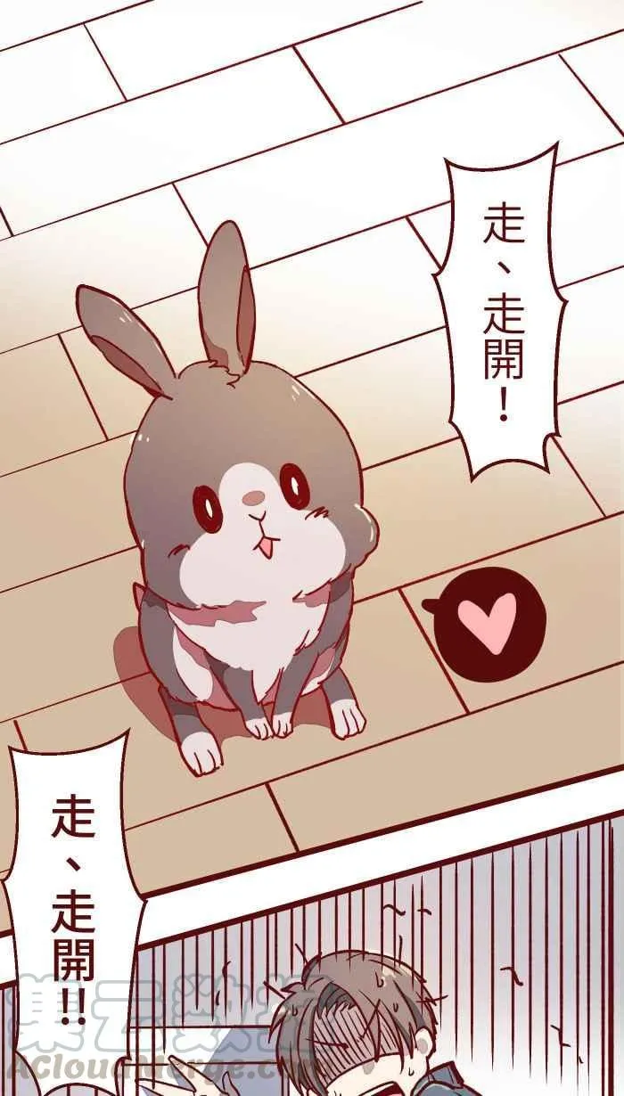 013 粥 第1页