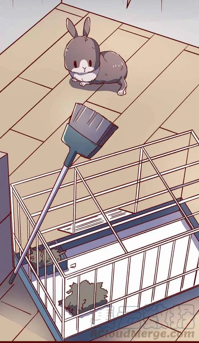 013 粥 第7页