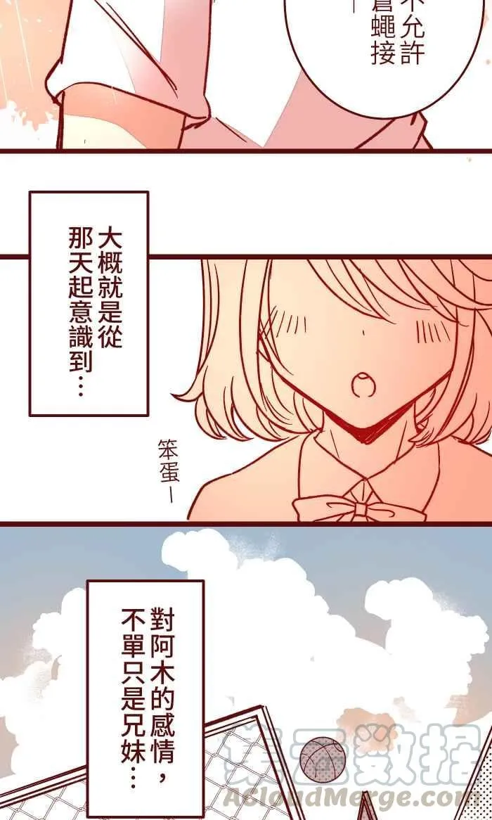 022 篮球 第34页