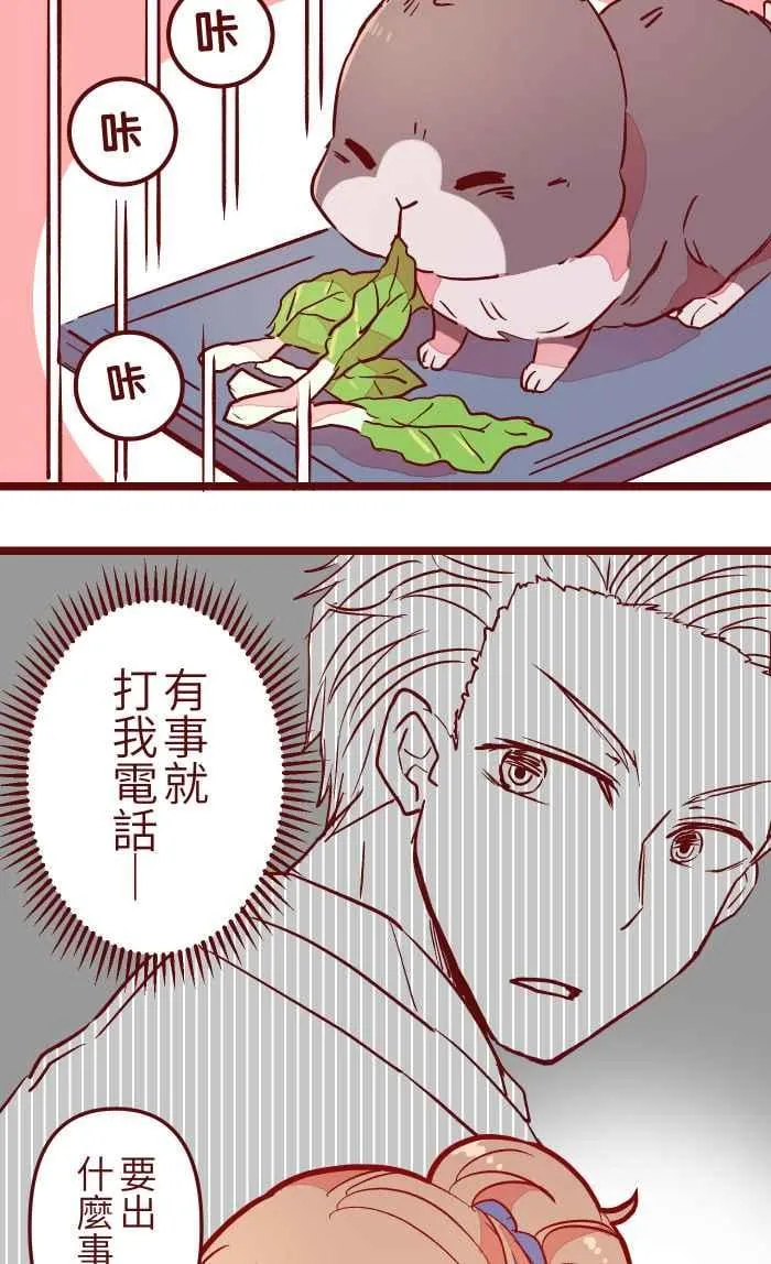 025 电话 第36页