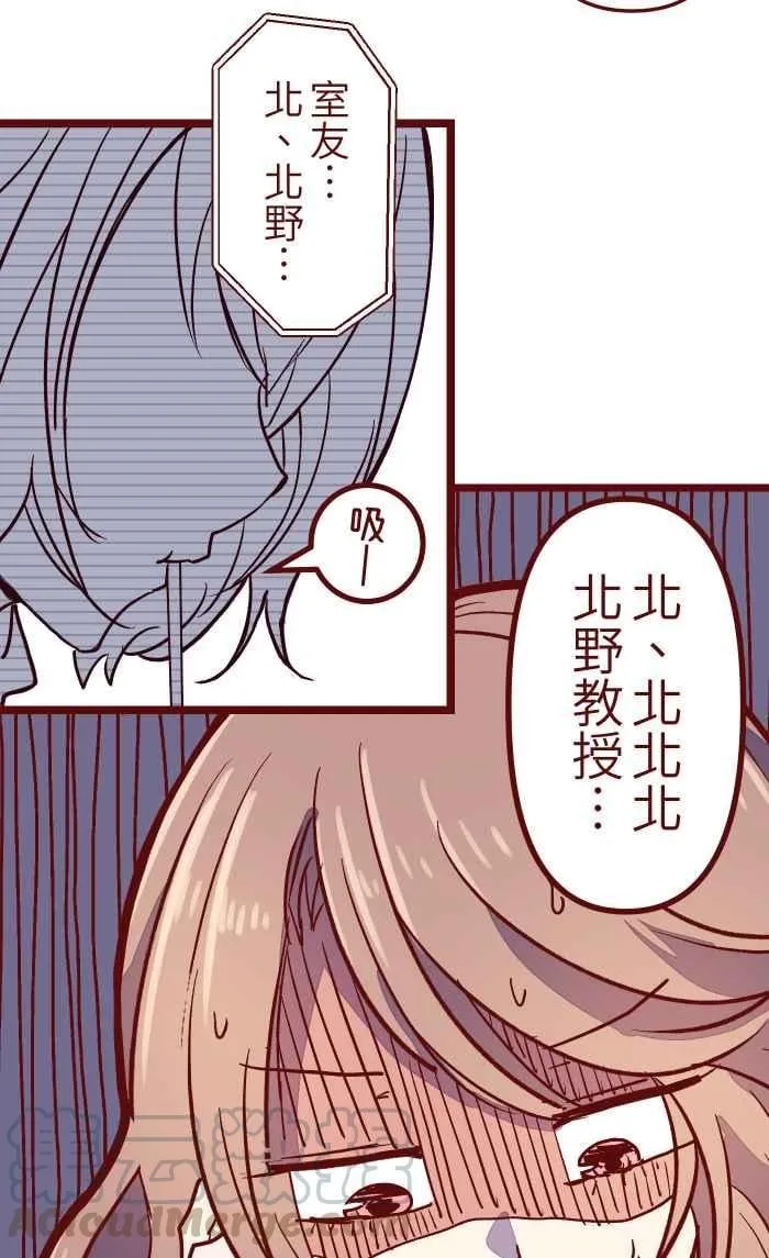 025 电话 第52页