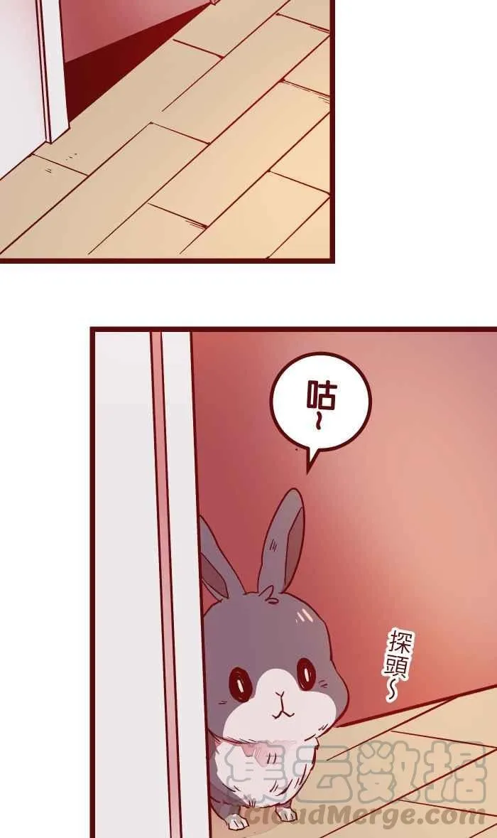 028 牛奶 第13页