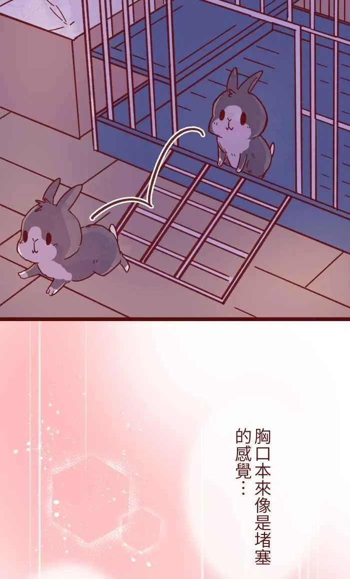 036 实现 第48页