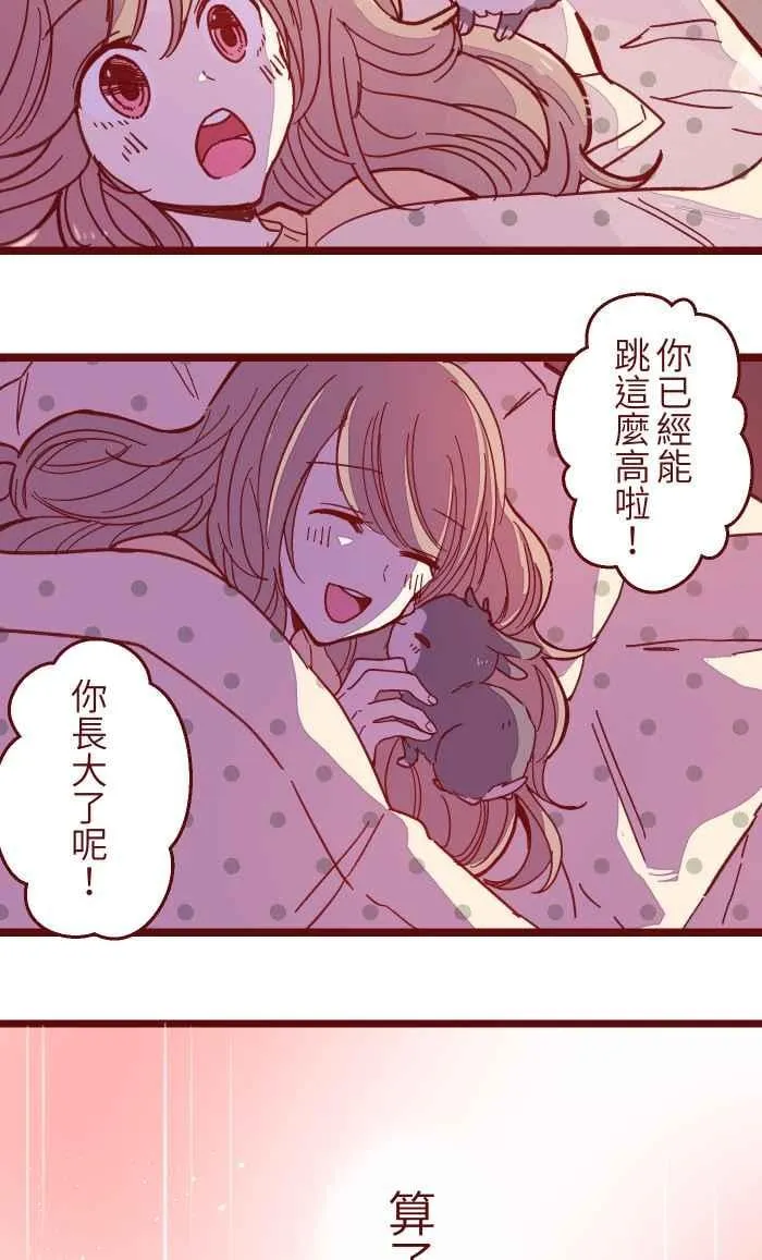 036 实现 第53页