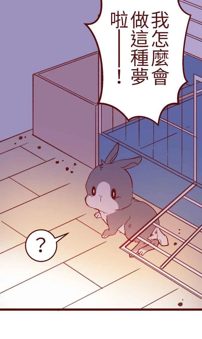039 那个那个 第12页