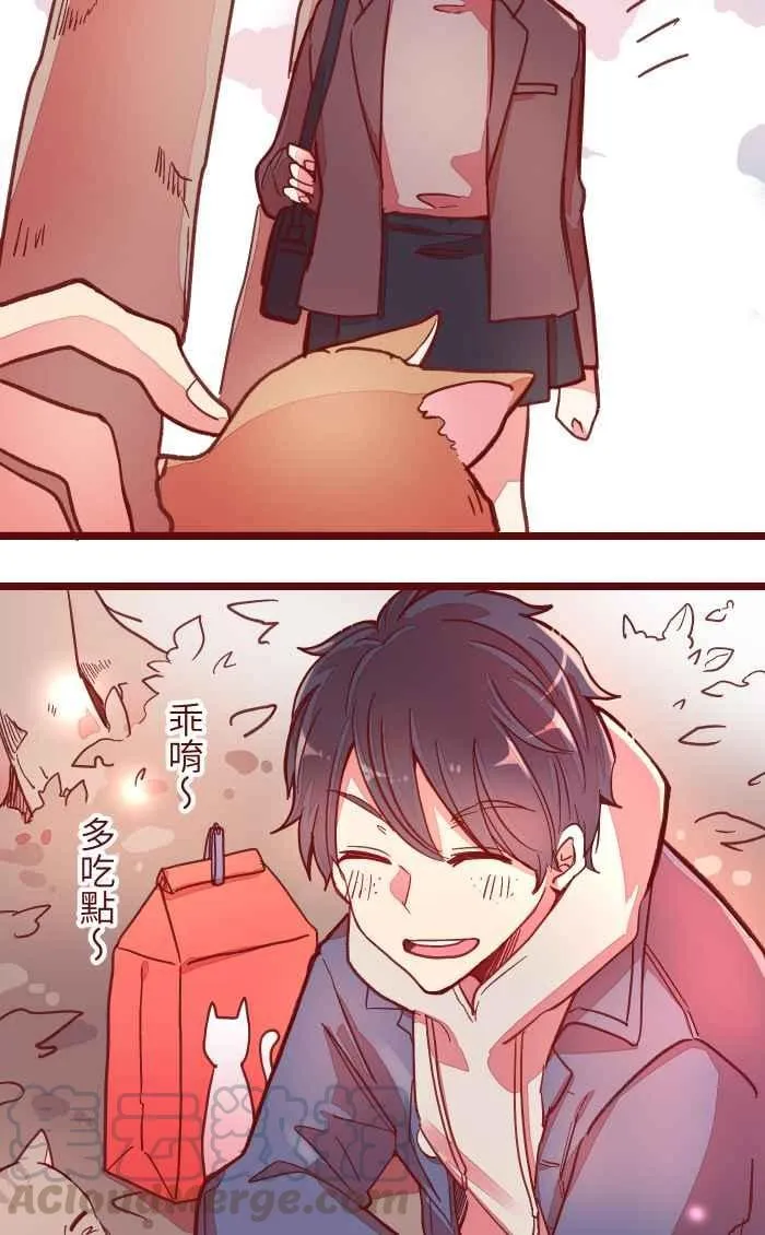 042 比不上 第19页