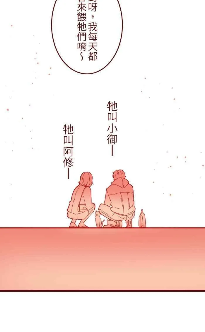 042 比不上 第21页