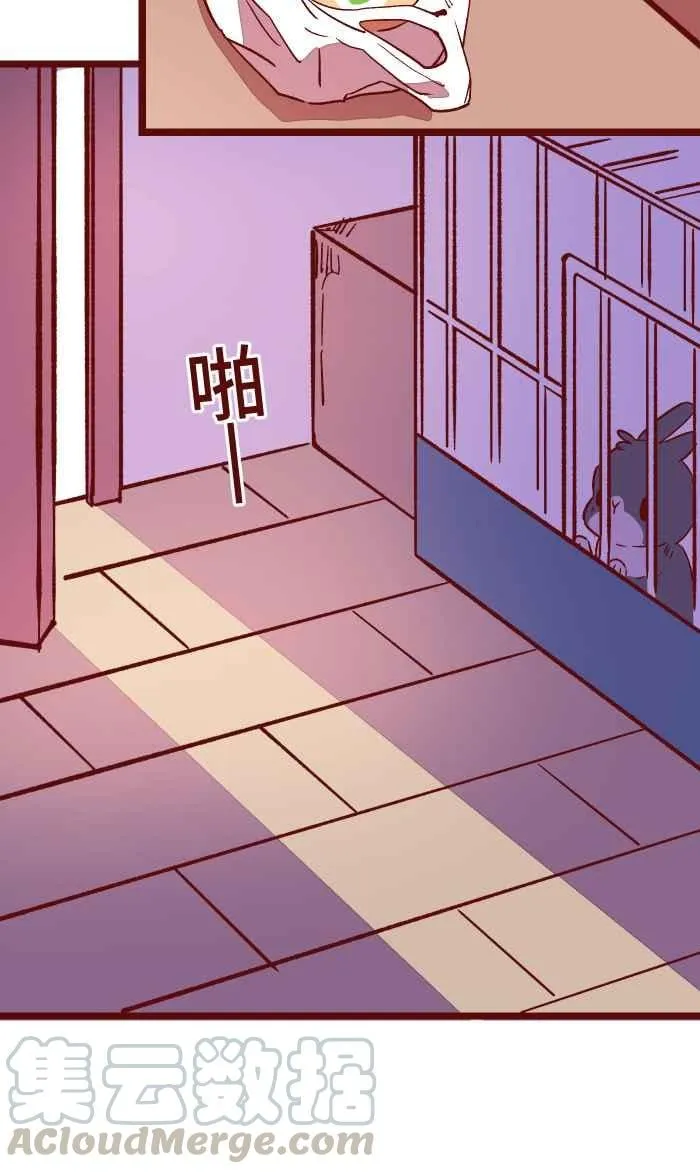 048 结束 第46页