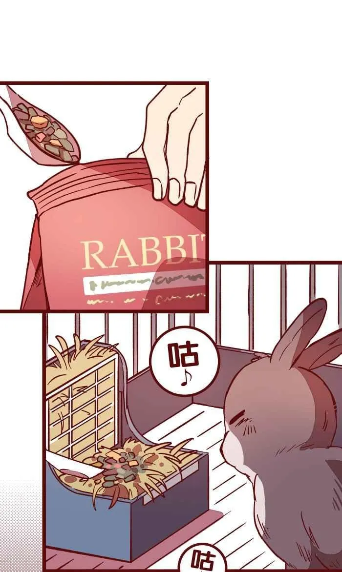 048 结束 第47页