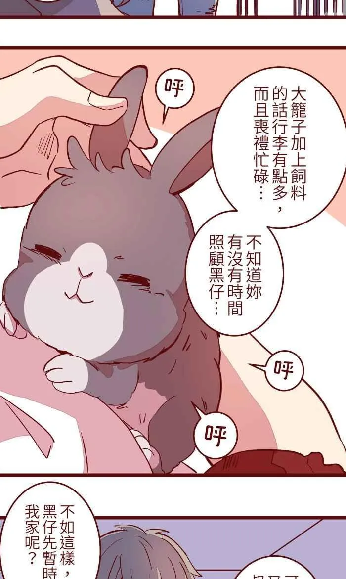 048 结束 第51页