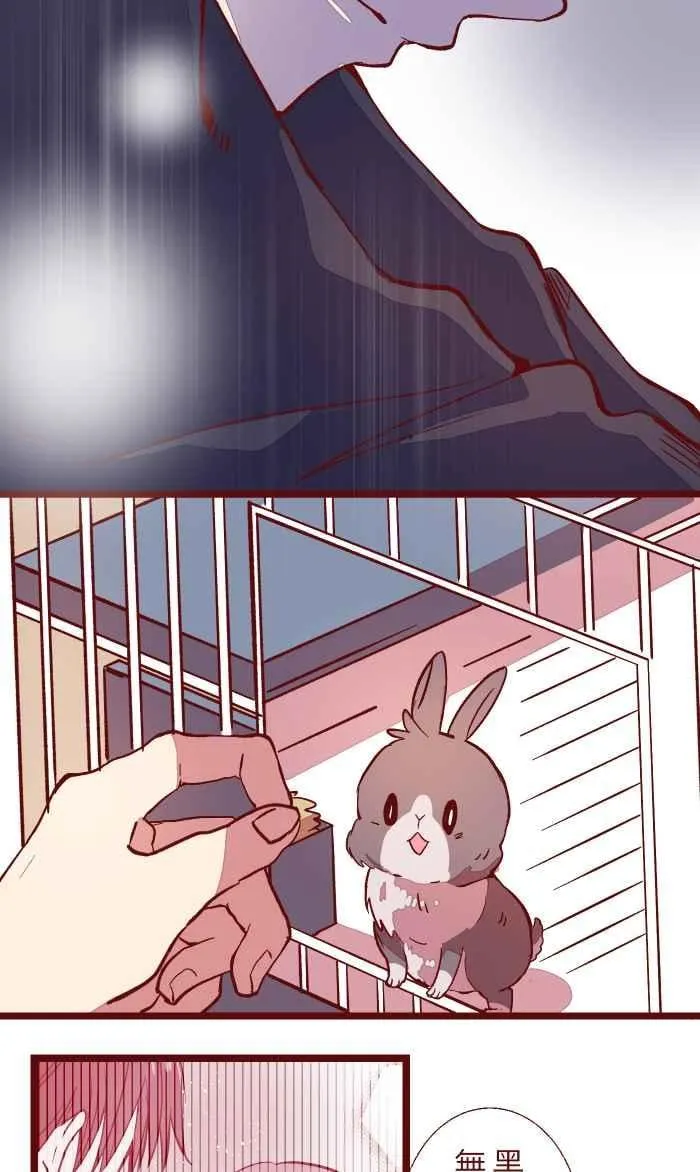 048 结束 第54页