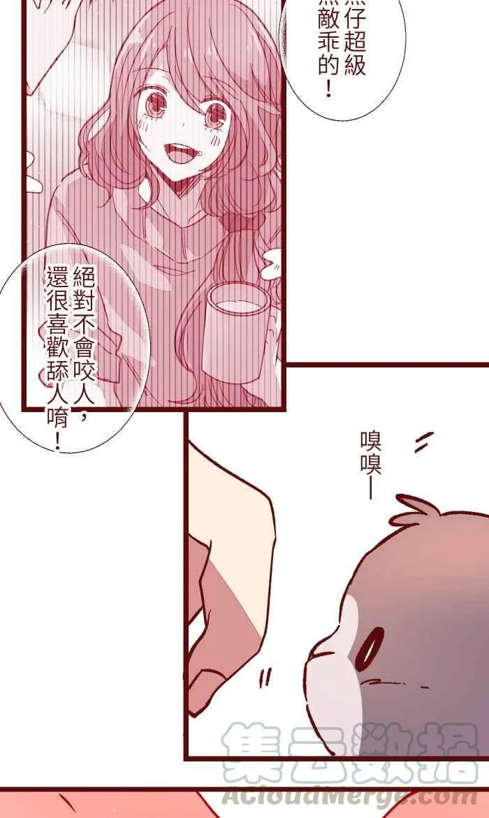 048 结束 第55页