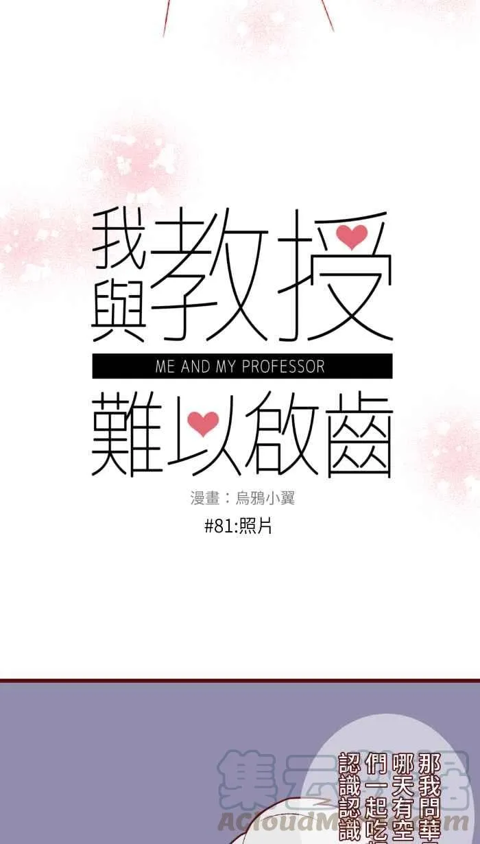 81 照片 第13页