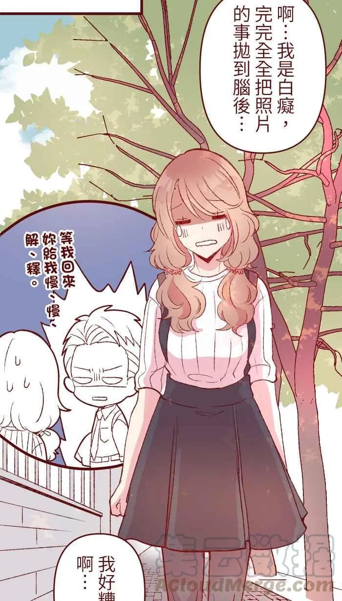 81 照片 第37页