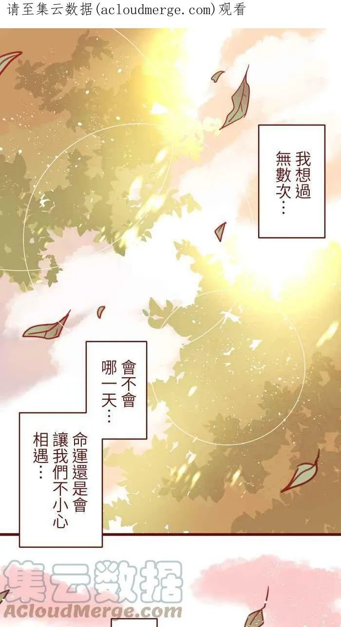 [特别活动] 读者感恩祭 第9页
