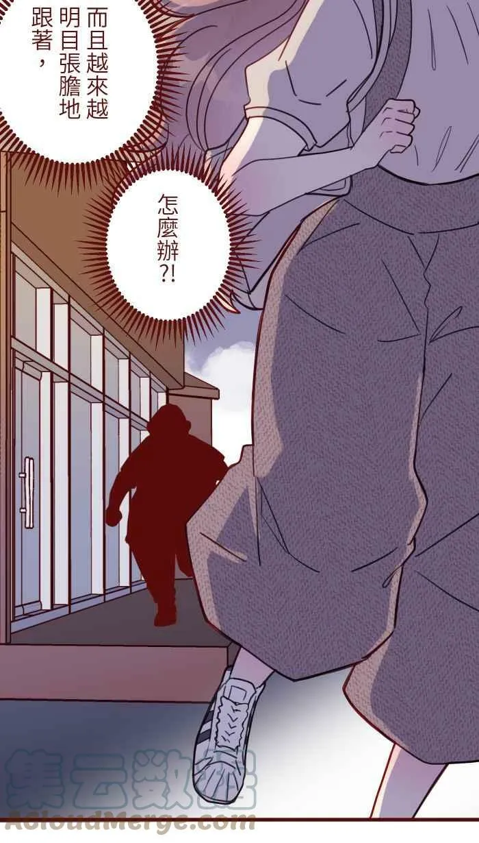 [第二季] 018 跟踪 第4页