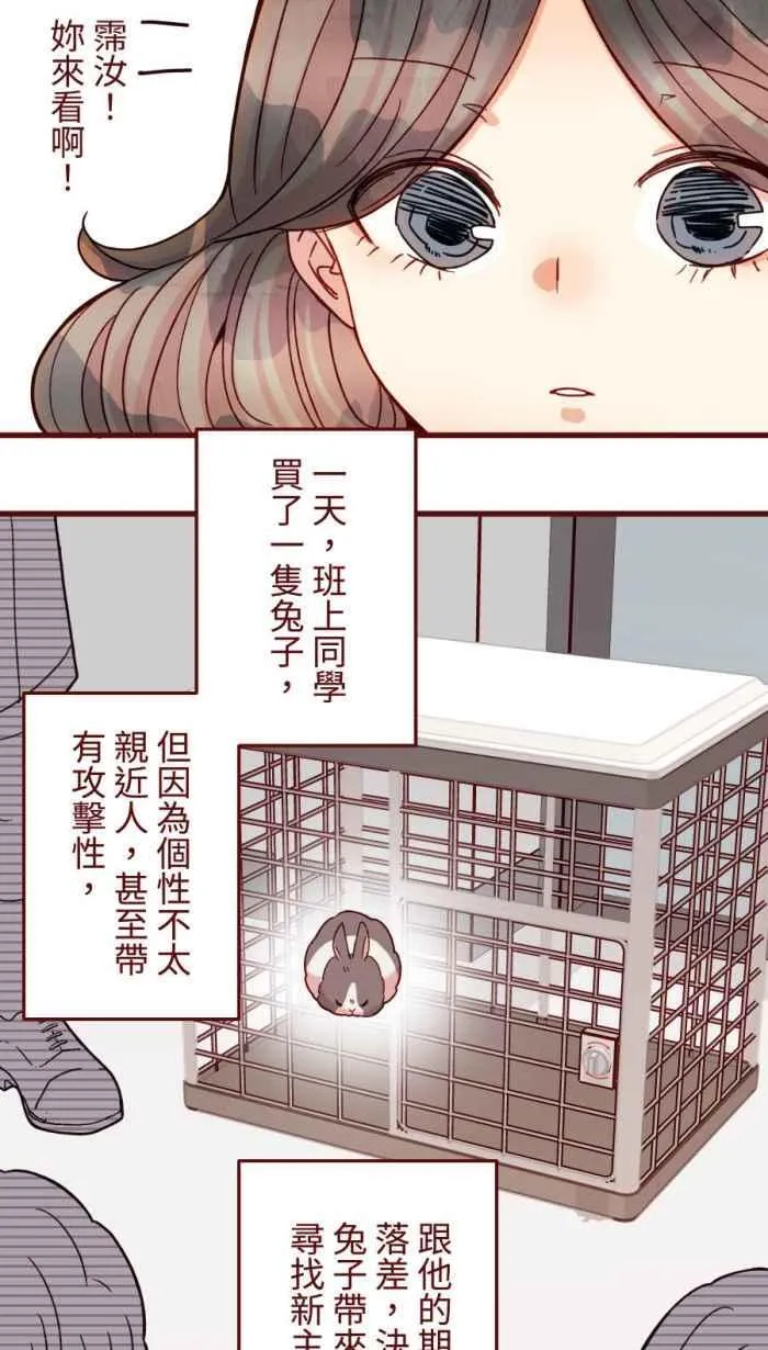 [第二季] 53 圆圆 第12页