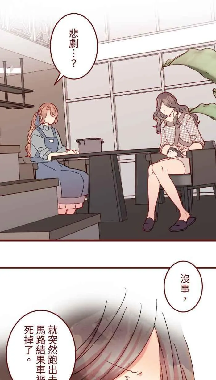 [第二季] 53 圆圆 第27页