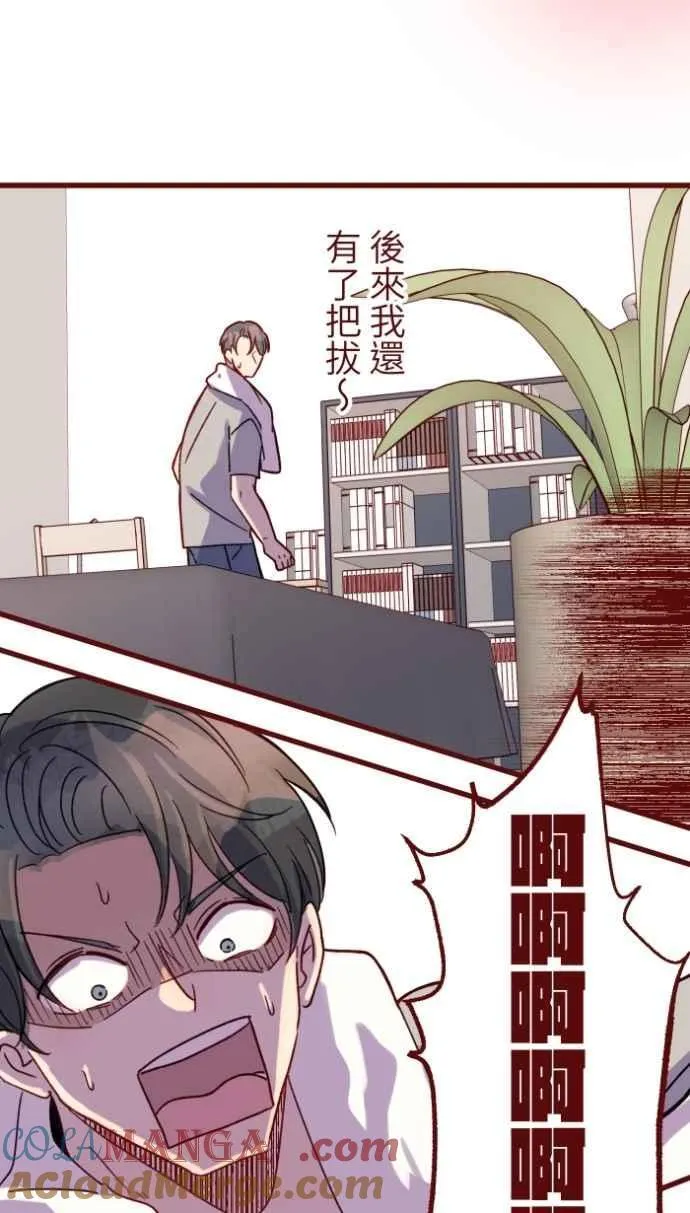 [番外] 010 黑仔 第13页
