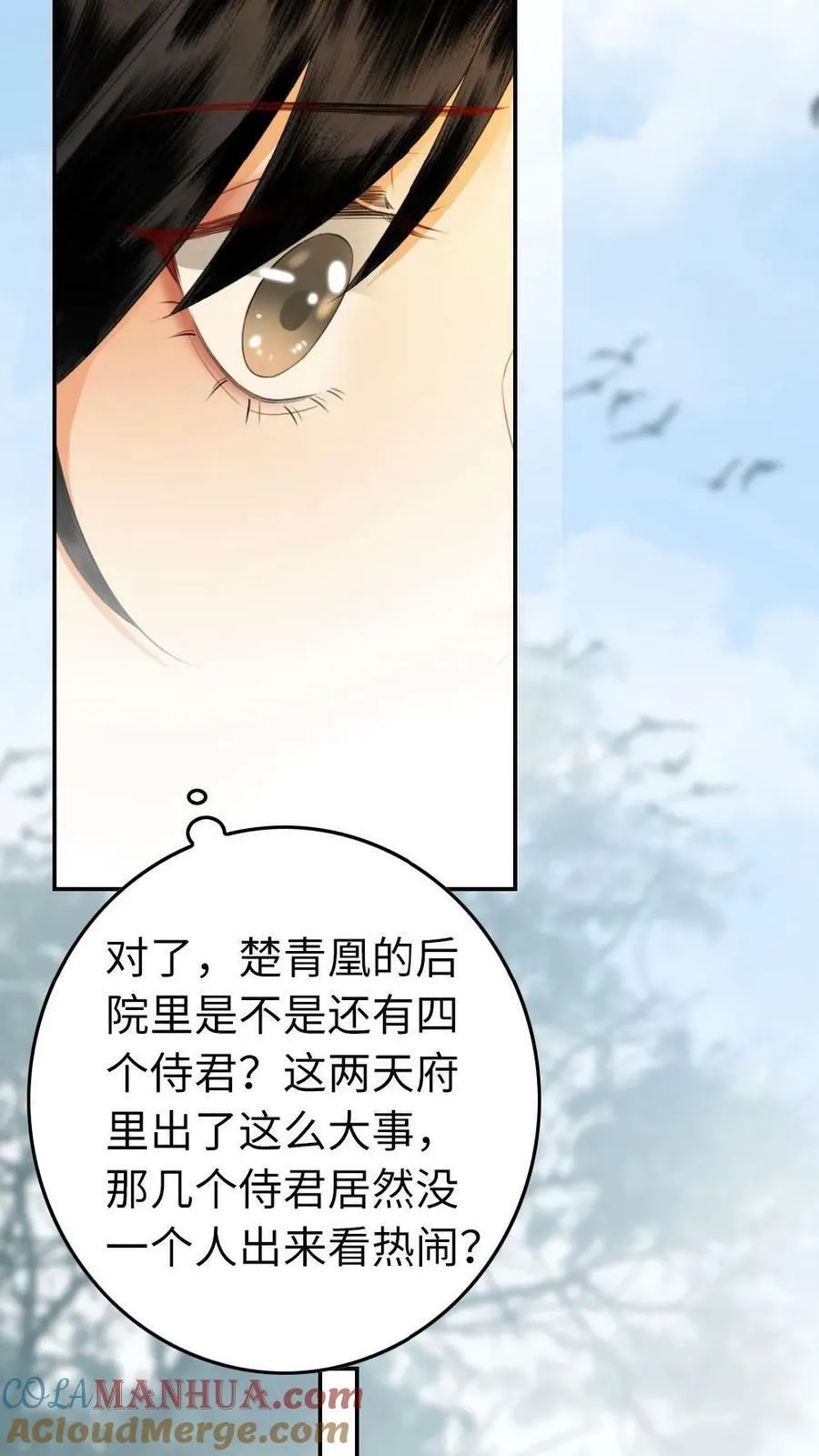 第9话 侍君“茶话会” 第17页