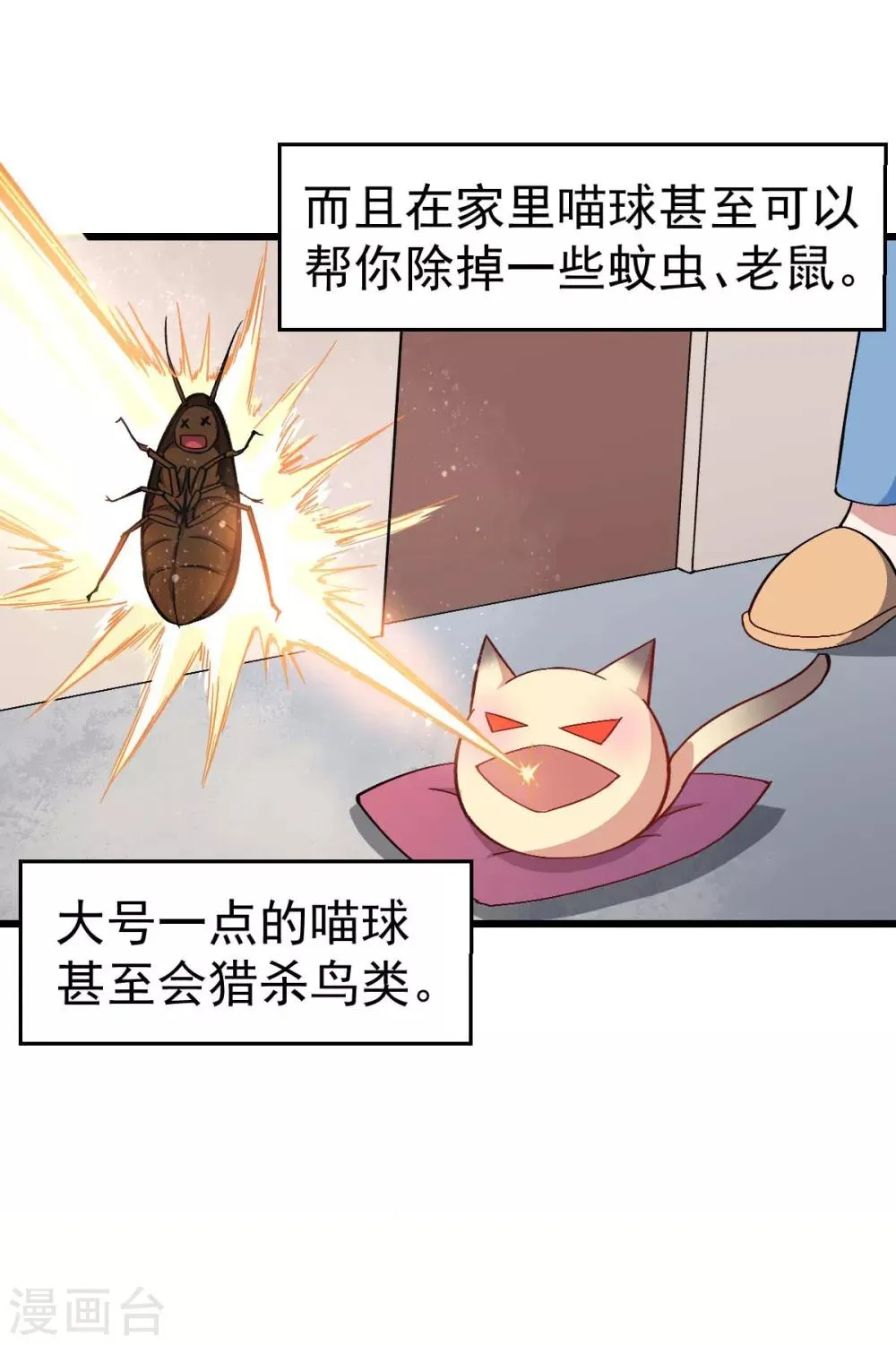 第137话 喵球 第3页