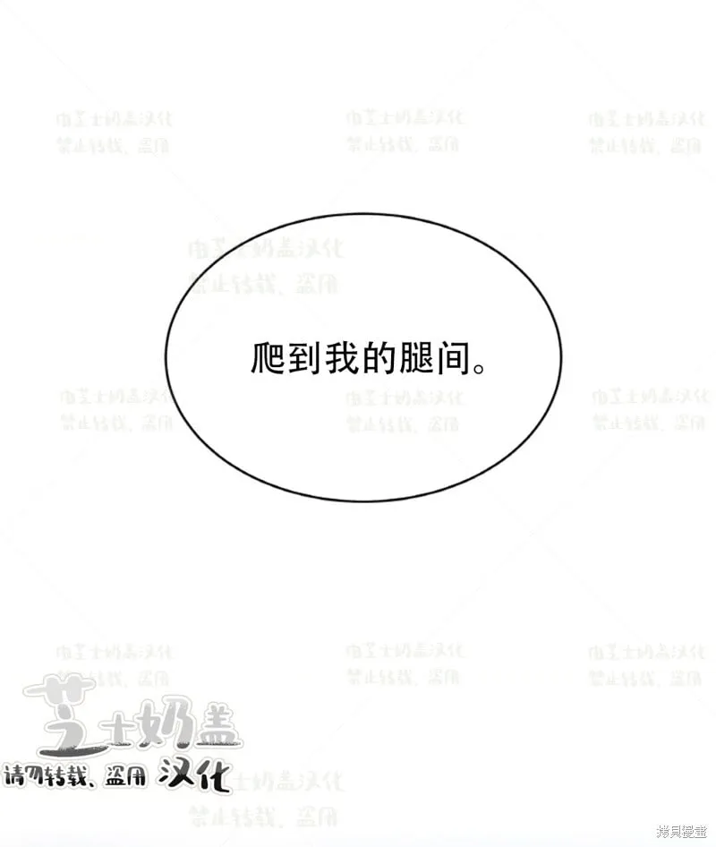 第35话 第41页