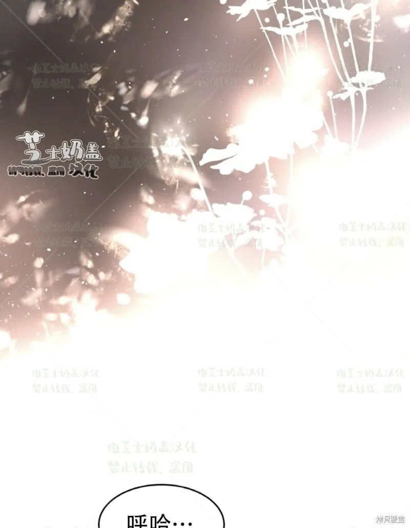 第38话 第41页