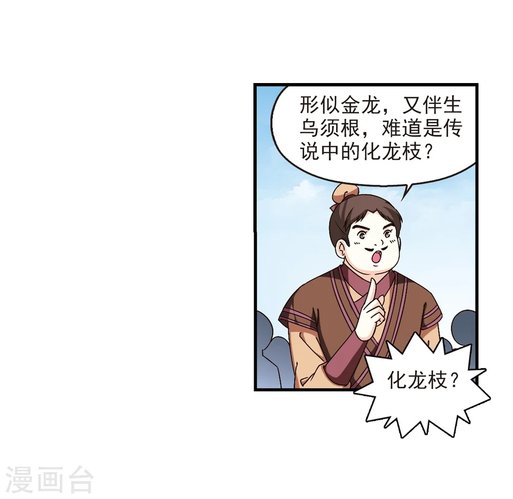 第165话 琅琊丹会2-1 第13页