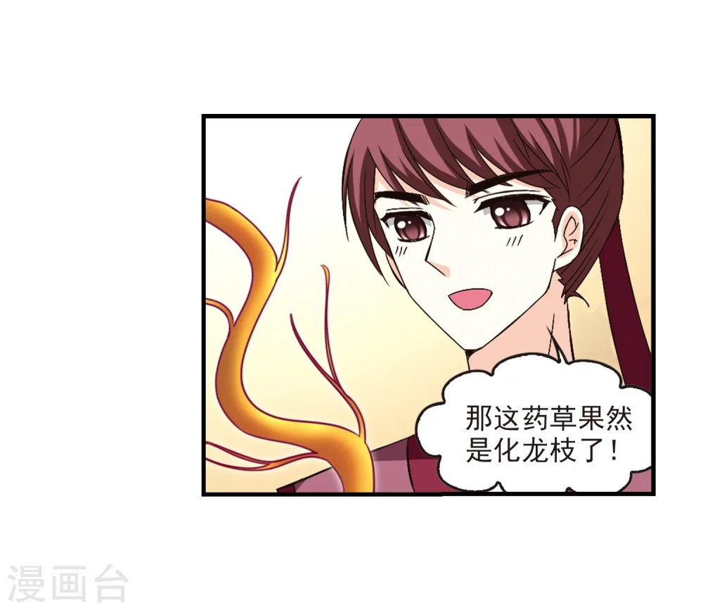 第165话 琅琊丹会2-1 第19页