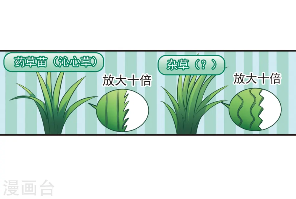 第80话 小林师兄1 第29页