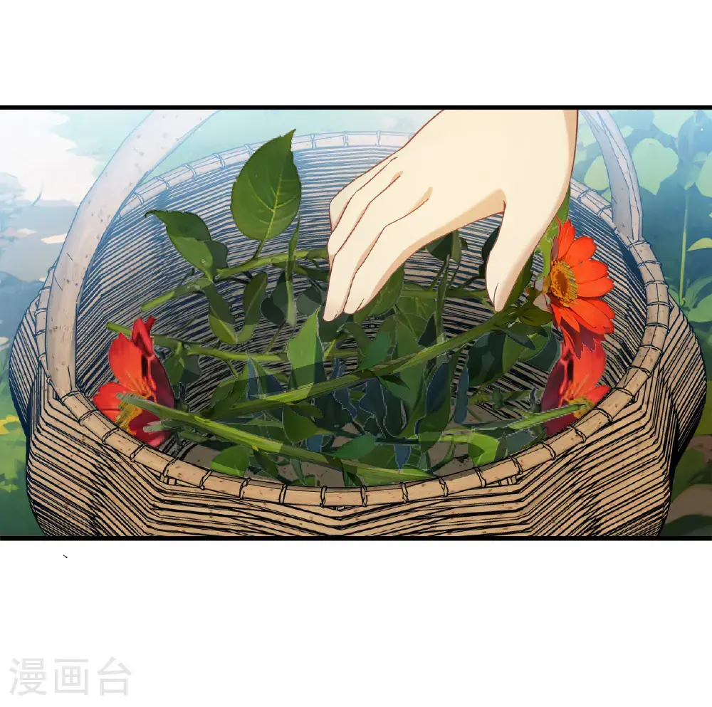 第2季211话 采药炼丹1 第16页