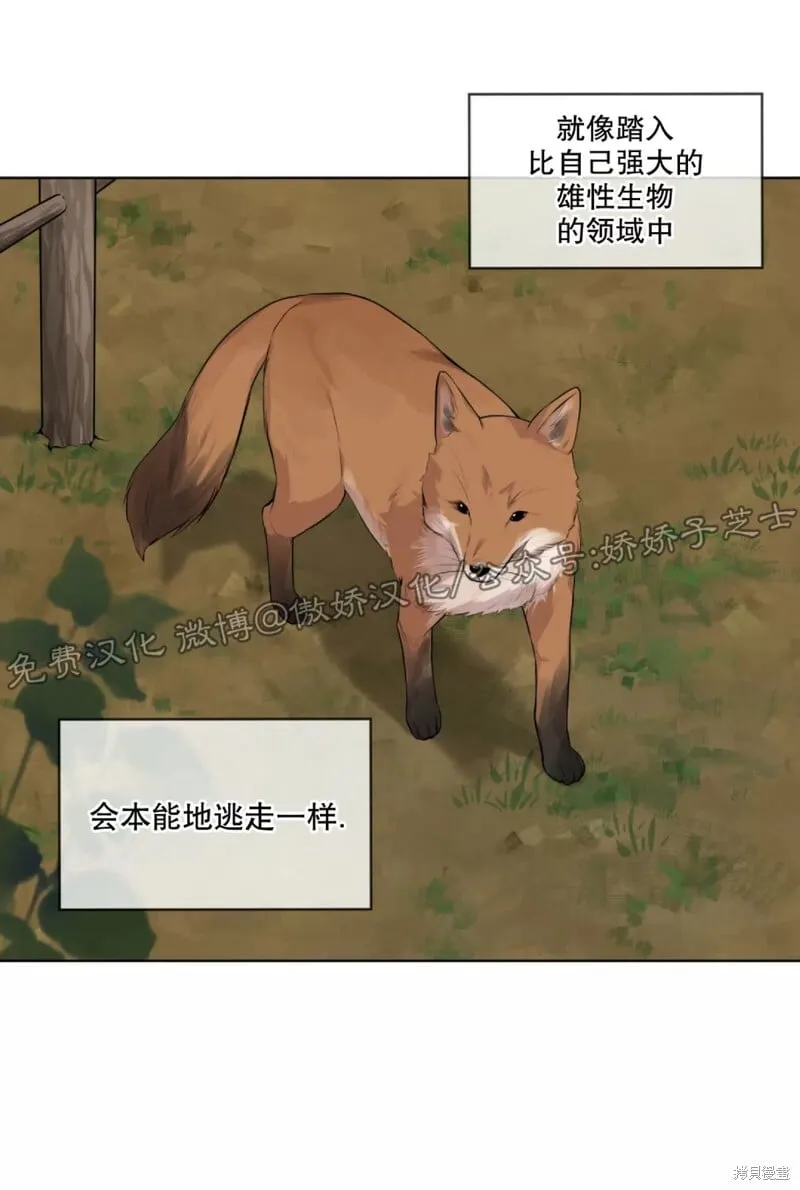 第21话 第12页