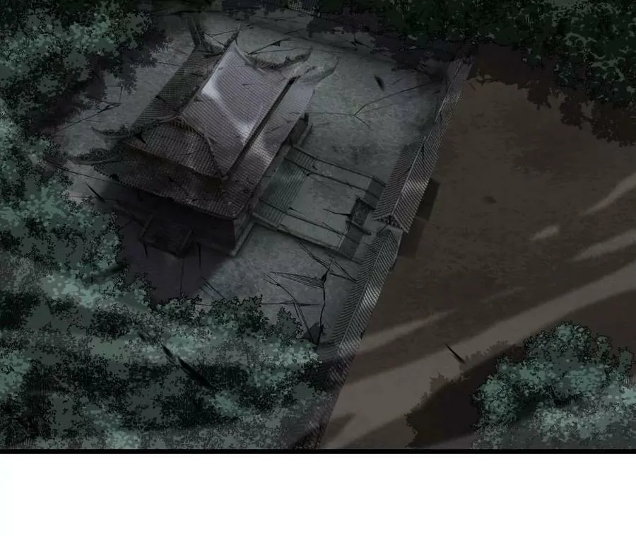 114 召回妖帅 第5页